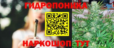ПСИЛОЦИБИНОВЫЕ ГРИБЫ Новокубанск