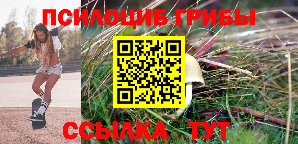 Псилоцибиновые грибы мицелий Саянск